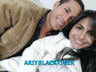 ARIYBLACKTIGER