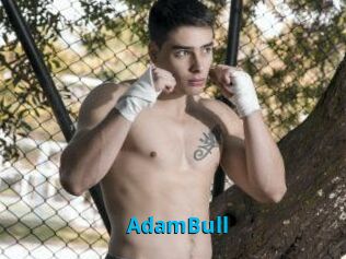 AdamBull