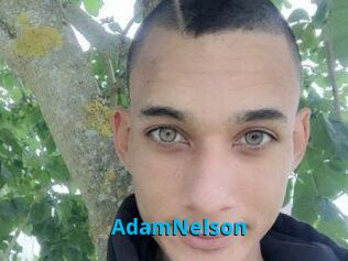 Adam_Nelson