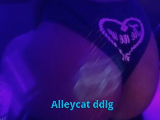 Alleycat_ddlg