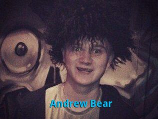 Andrew_Bear