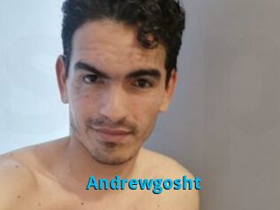 Andrewgosht