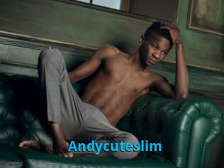 Andycuteslim