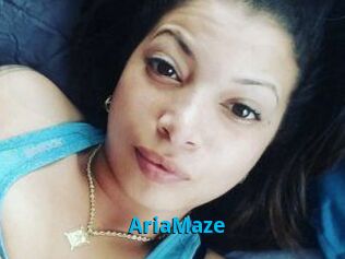 Aria_Maze