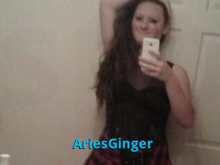 AriesGinger