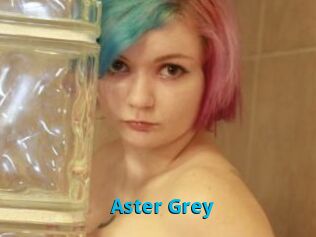 Aster_Grey