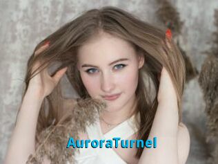 AuroraTurnel