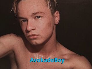 AvokadoBoy