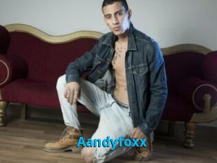 Aandyfoxx