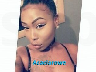 Acacia_rowe