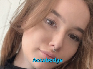 Accabodge