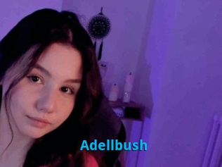 Adellbush