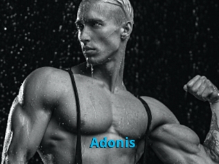 Adonis_