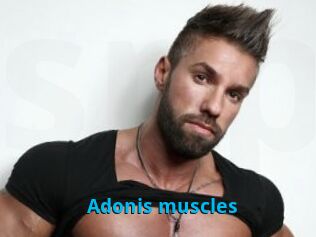 Adonis_muscles