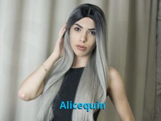 Alicequin