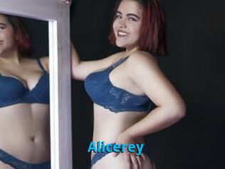 Alicerey