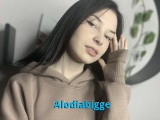 Alodiabigge