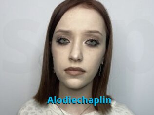 Alodiechaplin