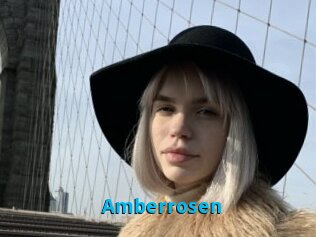 Amberrosen