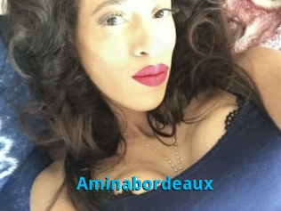 Aminabordeaux