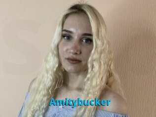 Amitybucker