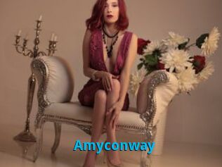 Amyconway