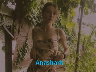 Anashark