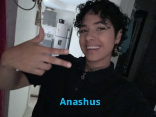 Anashus