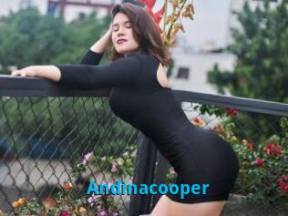 Andinacooper