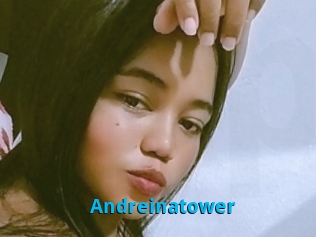 Andreinatower