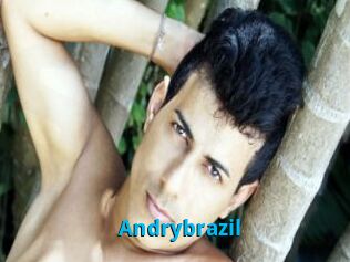 Andrybrazil