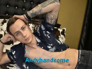 Andyhandsome