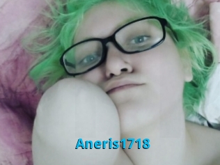 Aneris1718