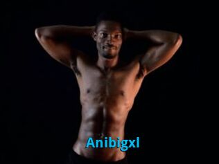 Anibigxl