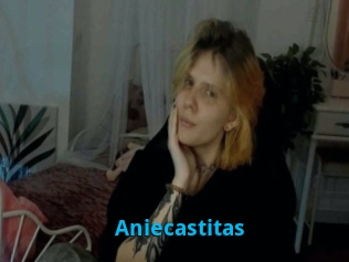 Aniecastitas