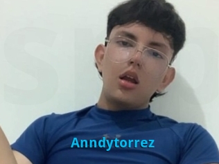 Anndytorrez