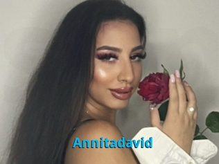 Annitadavid