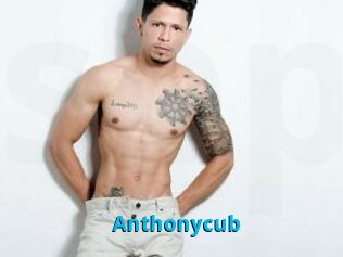 Anthonycub