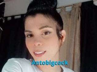 Antobigcock