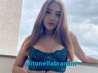 Antonellabrandm