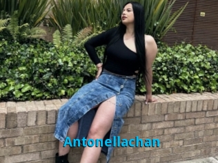 Antonellachan