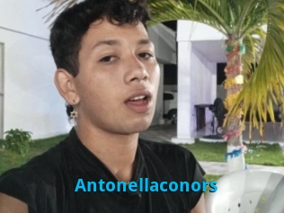 Antonellaconors