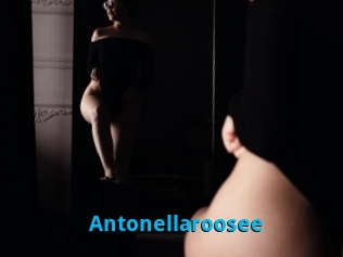 Antonellaroosee