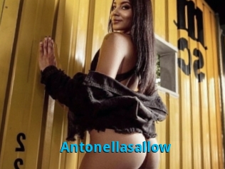 Antonellasallow