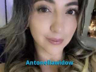 Antonellawidow