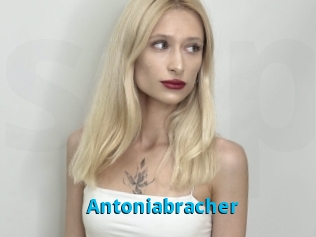 Antoniabracher