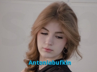 Antoniabufkin