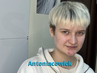 Antoniacowick