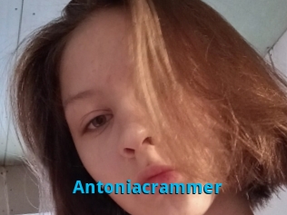 Antoniacrammer