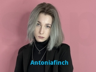 Antoniafinch